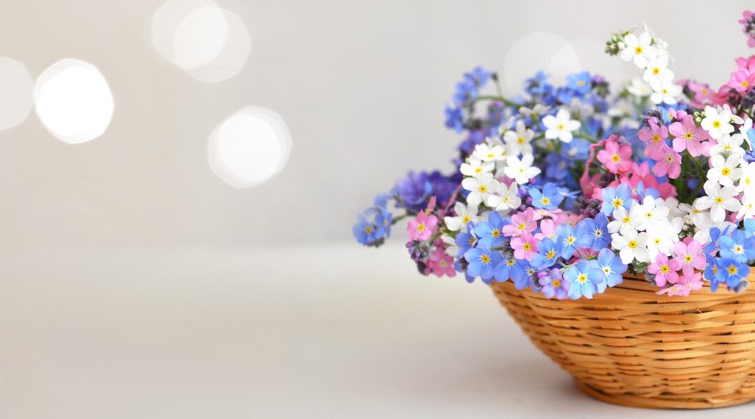 ¡Bienvenidos al blog de Yamil Floristas! Tu floristería de confianza en Madrid