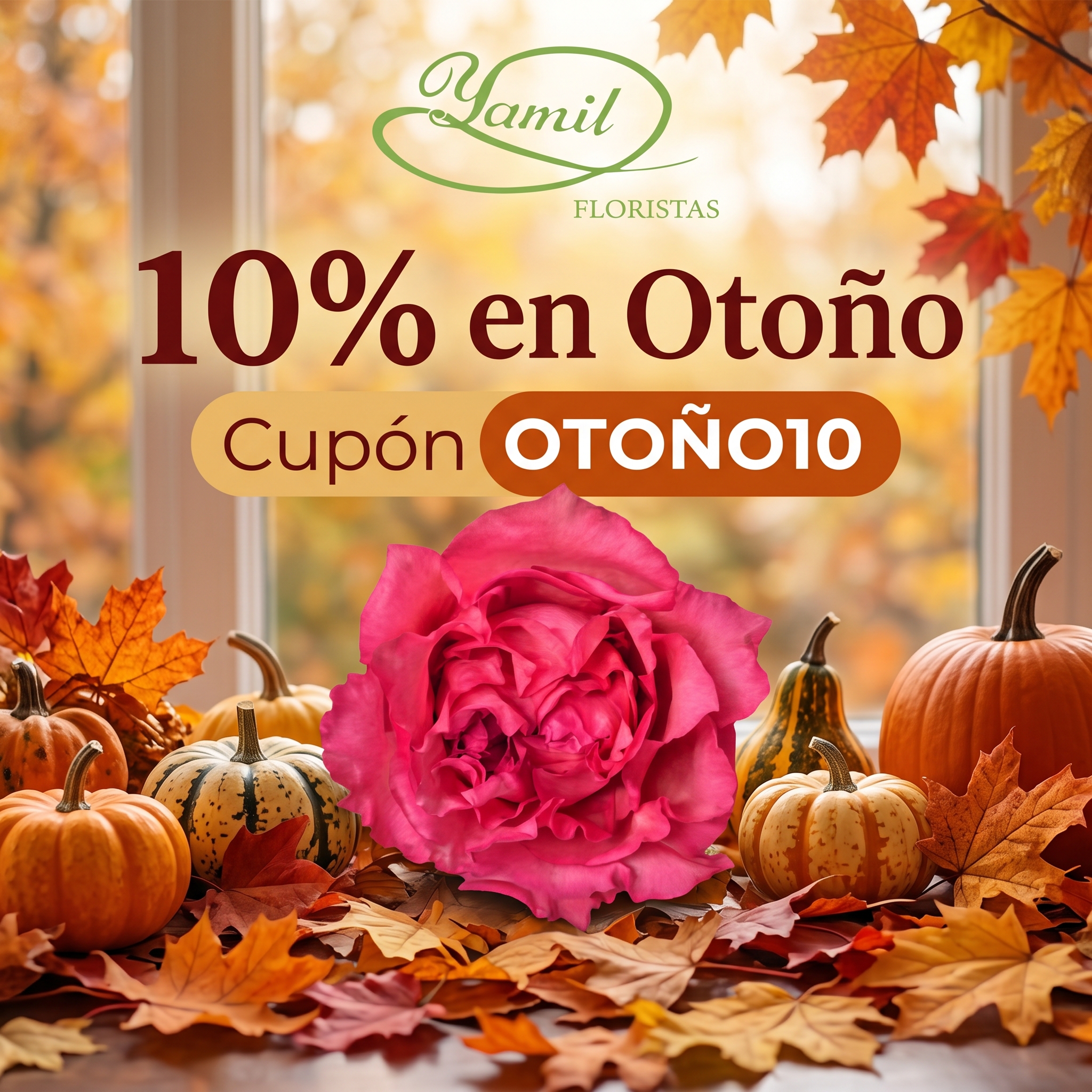 Oferta de otoño